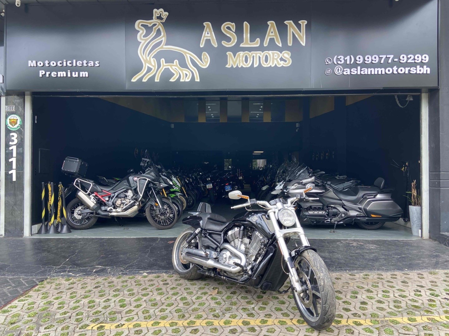 HARLEY DAVIDSON V-ROD 1250cc MUSCLE